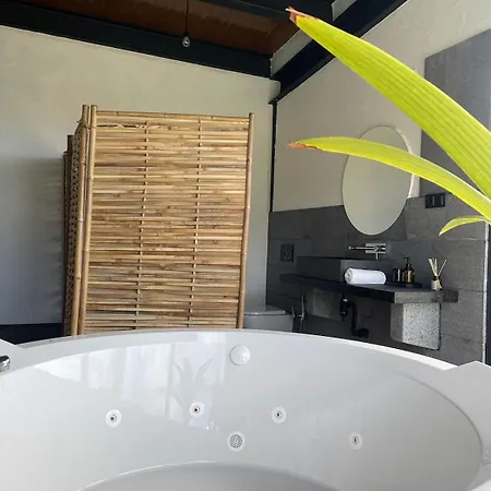 Heated Swimming Pool Jacuzzi *